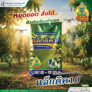 Artboard 1 copyAW แอ็กดิค 10 AG ปี69 Line3